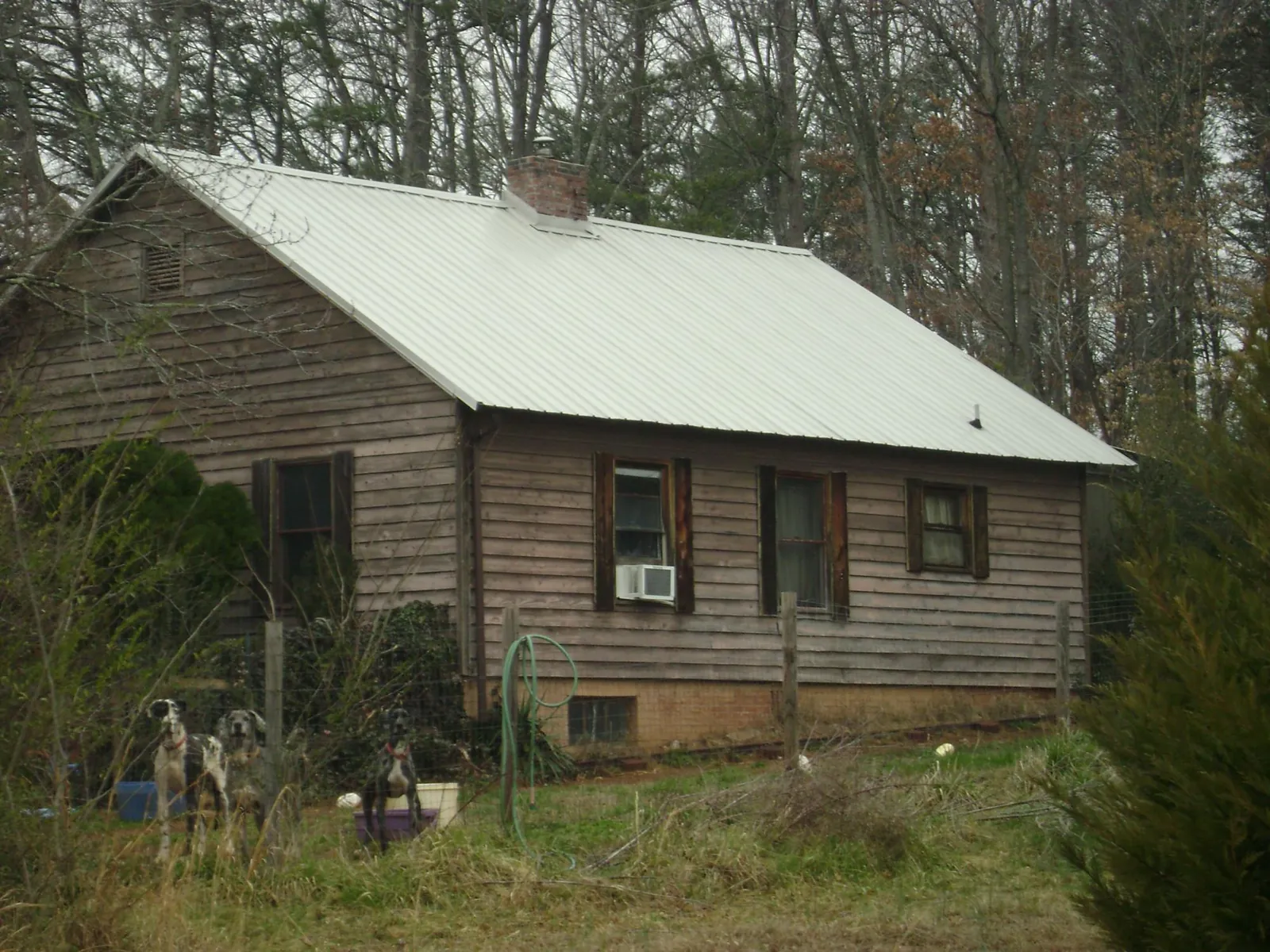 White metal roof on an old wood sided farmhouse, from a Asphalt Shingle Roof Repair job in Silver City